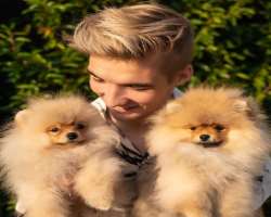 He has adopted two cute puppies in August 2019.